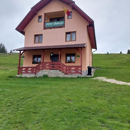 Cabana Gabriela Gîrda de Sus Eksteriør billede